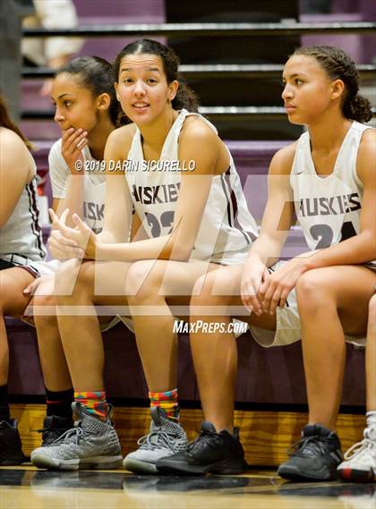 Thumbnail 3 in Basha @ Hamilton photogallery.