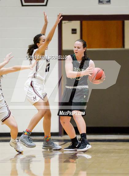 Thumbnail 3 in Basha @ Hamilton photogallery.