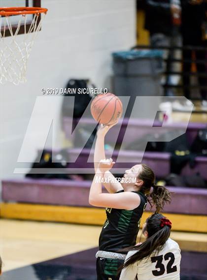 Thumbnail 2 in Basha @ Hamilton photogallery.