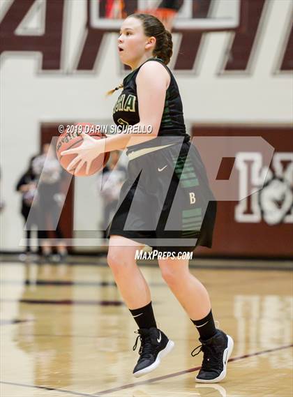 Thumbnail 3 in Basha @ Hamilton photogallery.