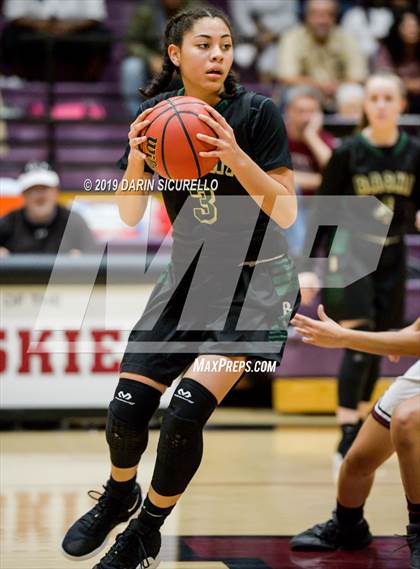 Thumbnail 3 in Basha @ Hamilton photogallery.