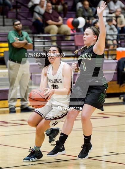 Thumbnail 2 in Basha @ Hamilton photogallery.