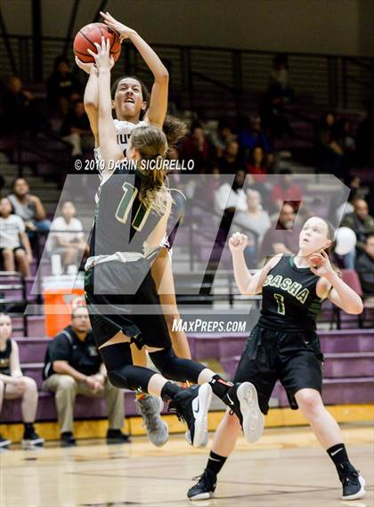Thumbnail 3 in Basha @ Hamilton photogallery.