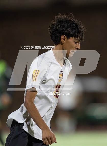 Thumbnail 2 in Pahrump Valley @ Virgin Valley photogallery.