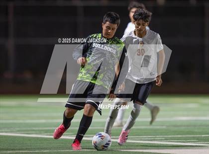 Thumbnail 2 in Pahrump Valley @ Virgin Valley photogallery.