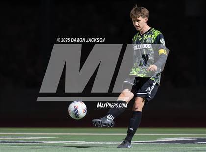 Thumbnail 3 in Pahrump Valley @ Virgin Valley photogallery.