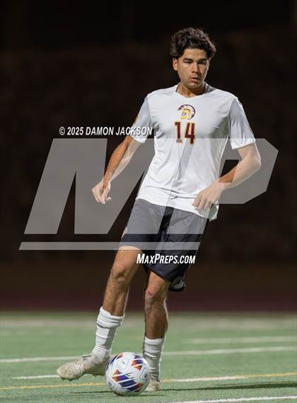 Thumbnail 3 in Pahrump Valley @ Virgin Valley photogallery.