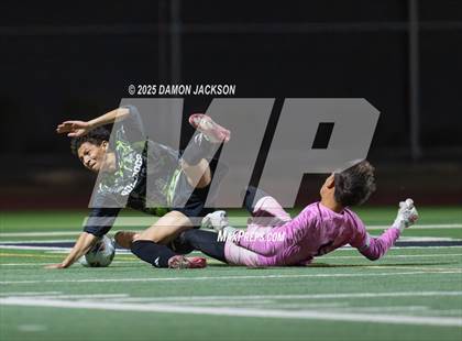 Thumbnail 2 in Pahrump Valley @ Virgin Valley photogallery.