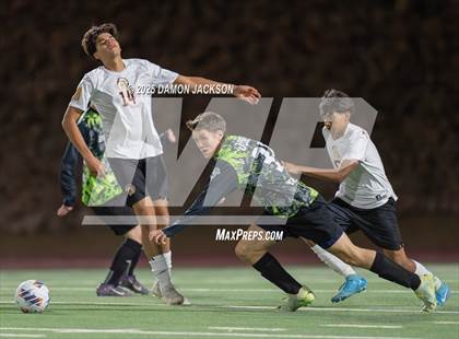 Thumbnail 2 in Pahrump Valley @ Virgin Valley photogallery.