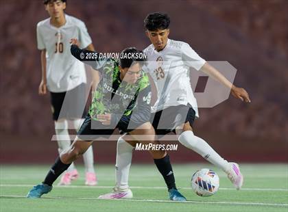 Thumbnail 2 in Pahrump Valley @ Virgin Valley photogallery.