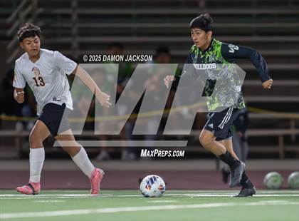 Thumbnail 2 in Pahrump Valley @ Virgin Valley photogallery.