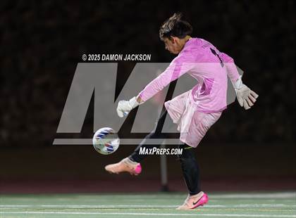 Thumbnail 2 in Pahrump Valley @ Virgin Valley photogallery.