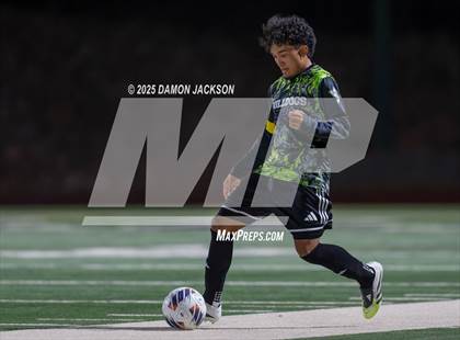 Thumbnail 3 in Pahrump Valley @ Virgin Valley photogallery.