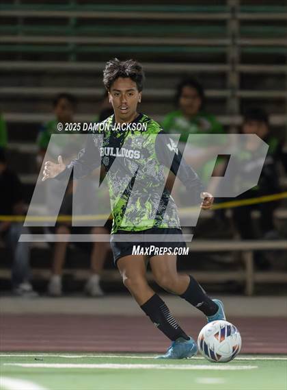 Thumbnail 1 in Pahrump Valley @ Virgin Valley photogallery.