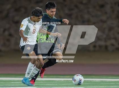 Thumbnail 3 in Pahrump Valley @ Virgin Valley photogallery.