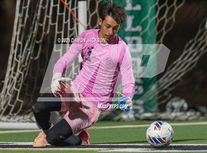 Thumbnail 1 in Pahrump Valley @ Virgin Valley photogallery.