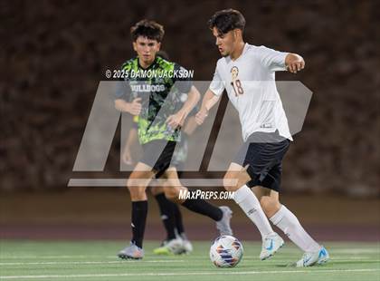 Thumbnail 3 in Pahrump Valley @ Virgin Valley photogallery.