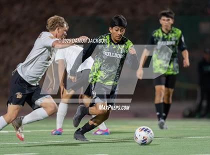 Thumbnail 2 in Pahrump Valley @ Virgin Valley photogallery.