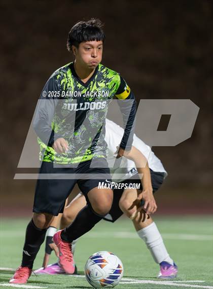 Thumbnail 1 in Pahrump Valley @ Virgin Valley photogallery.