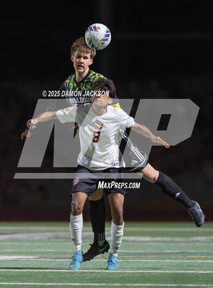 Thumbnail 3 in Pahrump Valley @ Virgin Valley photogallery.