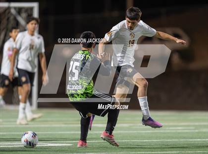 Thumbnail 3 in Pahrump Valley @ Virgin Valley photogallery.