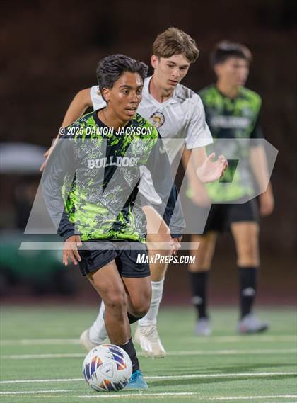 Thumbnail 3 in Pahrump Valley @ Virgin Valley photogallery.