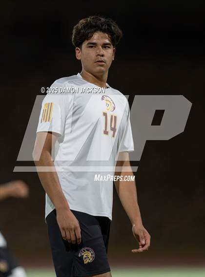 Thumbnail 2 in Pahrump Valley @ Virgin Valley photogallery.