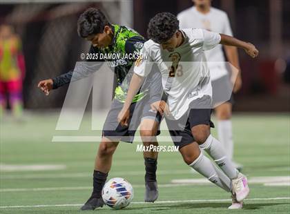 Thumbnail 1 in Pahrump Valley @ Virgin Valley photogallery.