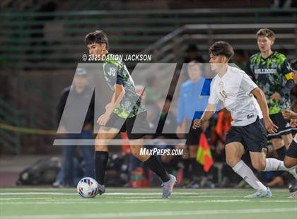 Thumbnail 2 in Pahrump Valley @ Virgin Valley photogallery.