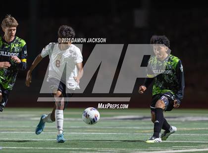 Thumbnail 1 in Pahrump Valley @ Virgin Valley photogallery.