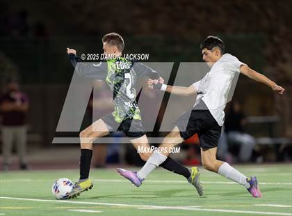 Thumbnail 1 in Pahrump Valley @ Virgin Valley photogallery.