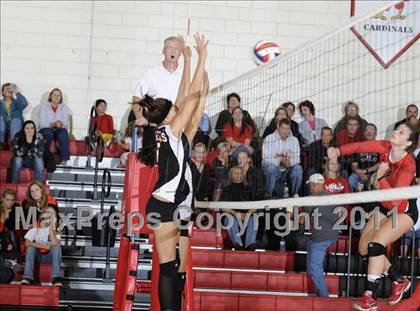 Thumbnail 1 in Webster vs. Luck photogallery.