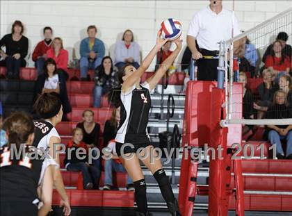 Thumbnail 2 in Webster vs. Luck photogallery.