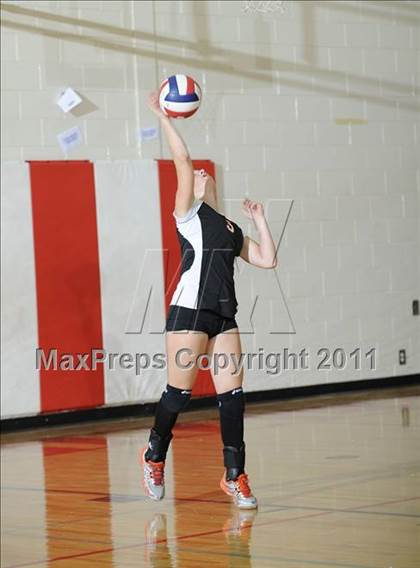 Thumbnail 2 in Webster vs. Luck photogallery.