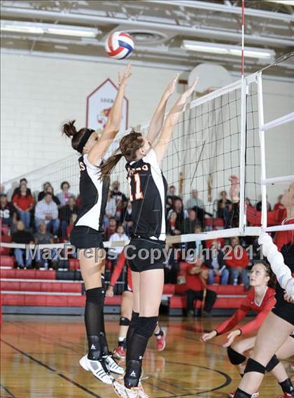 Thumbnail 1 in Webster vs. Luck photogallery.