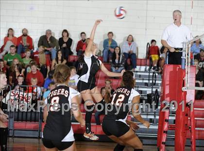 Thumbnail 1 in Webster vs. Luck photogallery.