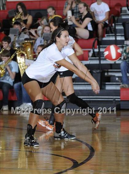 Thumbnail 3 in Webster vs. Luck photogallery.