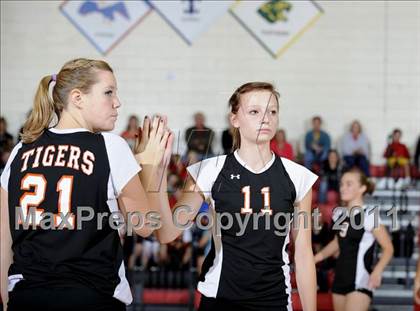 Thumbnail 1 in Webster vs. Luck photogallery.