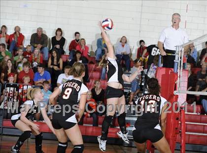 Thumbnail 2 in Webster vs. Luck photogallery.