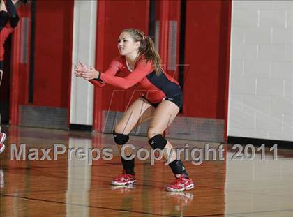 Thumbnail 1 in Webster vs. Luck photogallery.