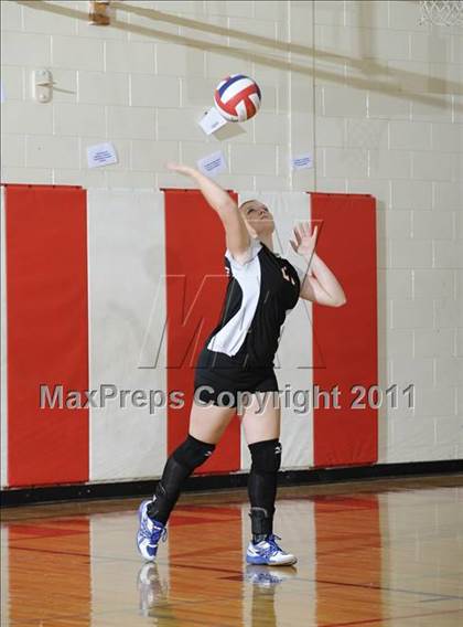 Thumbnail 1 in Webster vs. Luck photogallery.