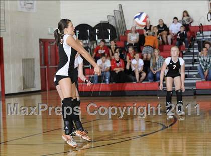 Thumbnail 1 in Webster vs. Luck photogallery.