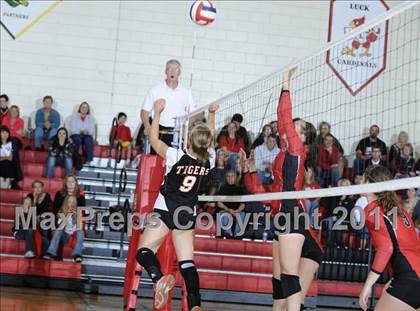 Thumbnail 3 in Webster vs. Luck photogallery.