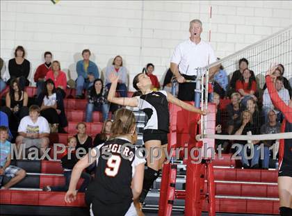 Thumbnail 3 in Webster vs. Luck photogallery.