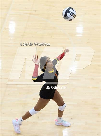 Thumbnail 2 in Walker @ Lassiter photogallery.
