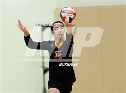 Thumbnail 3 in Walker @ Lassiter photogallery.