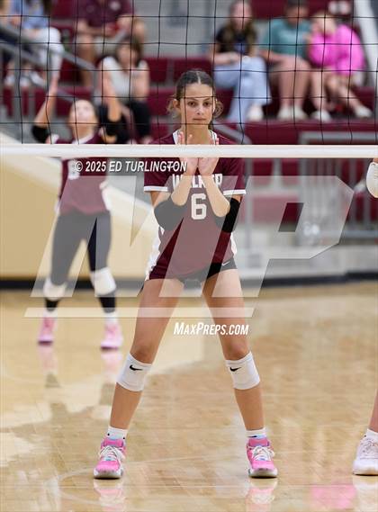 Thumbnail 2 in Walker @ Lassiter photogallery.