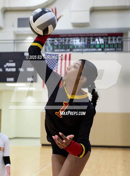 Thumbnail 1 in Walker @ Lassiter photogallery.