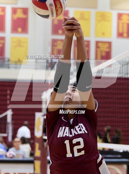Thumbnail 3 in Walker @ Lassiter photogallery.