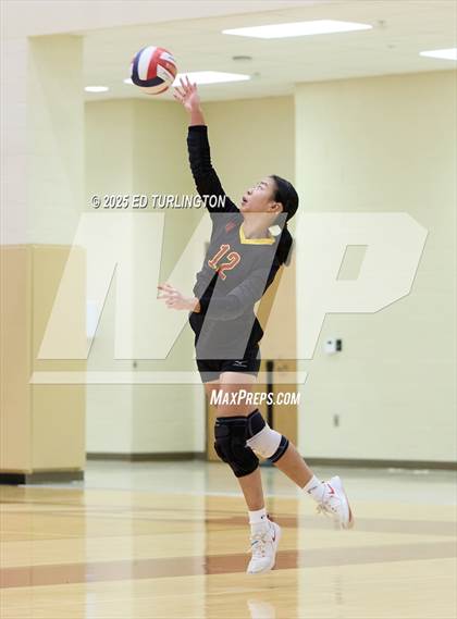 Thumbnail 2 in Walker @ Lassiter photogallery.